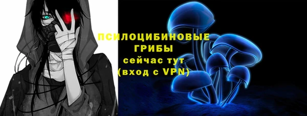 молекула духа Осташков