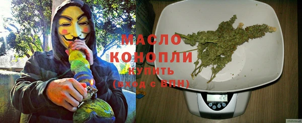 молекула духа Осташков
