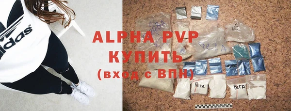 ГАЛЛЮЦИНОГЕННЫЕ ГРИБЫ Осинники