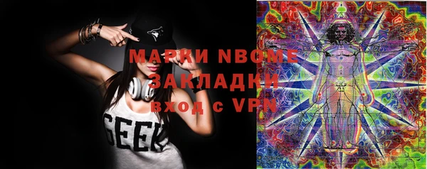 молекула духа Осташков
