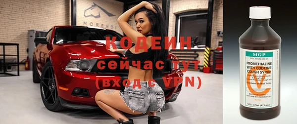 молекула духа Осташков