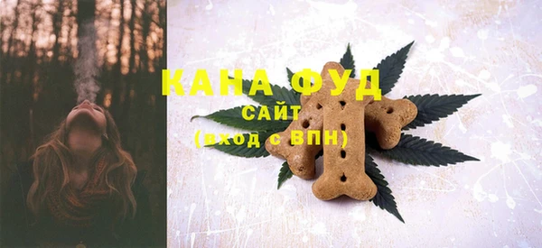 молекула духа Осташков